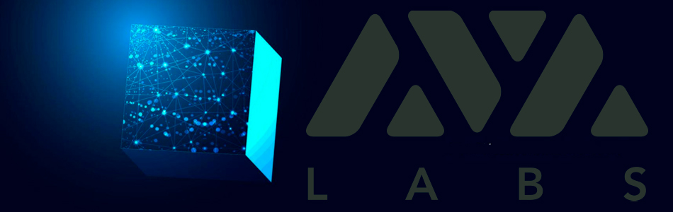 Ava Labs’ Emin Gün Sirer Alerts Crypto Community to ‘Trash L2s’ Menace