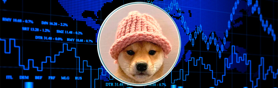 Dogwifhat Trader’s Spectacular Journey: From $1.8K to $11 Million in 3 Months