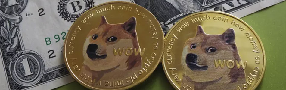 Netflix Director Made Millions thanks to Dogecoin