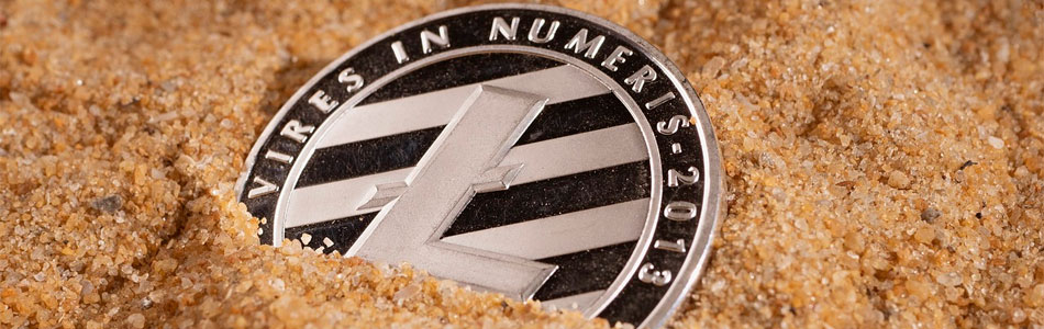 Halving Events Have Been a Success for Litecoin