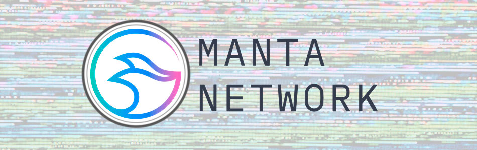 DDoS Attack Disrupts Manta Network’s Token Launch