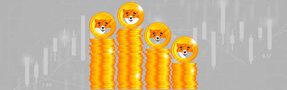 Shiba Inu’s SHIB Token Surges Amidst Community Call to Action