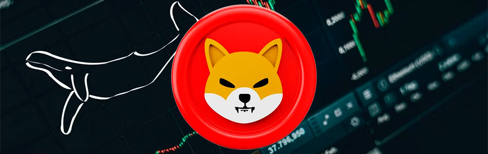 Shiba Inu Whales Back in Action: Market Dynamics and Future Predictions