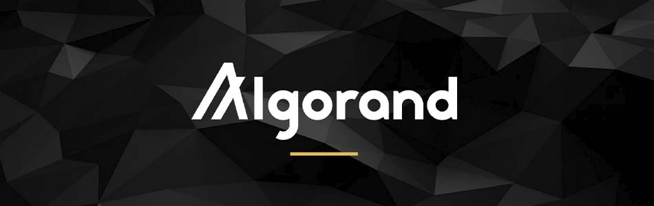 Scam Alert: False Claims and Irony Fill Hacked Algorand Founder's Tweets