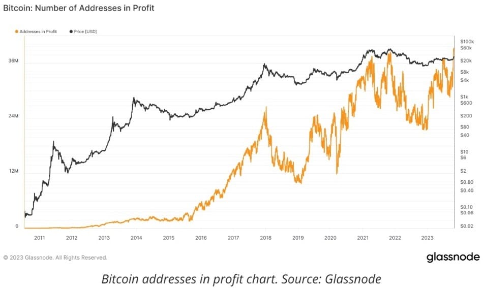 bitcoin addresses profit
