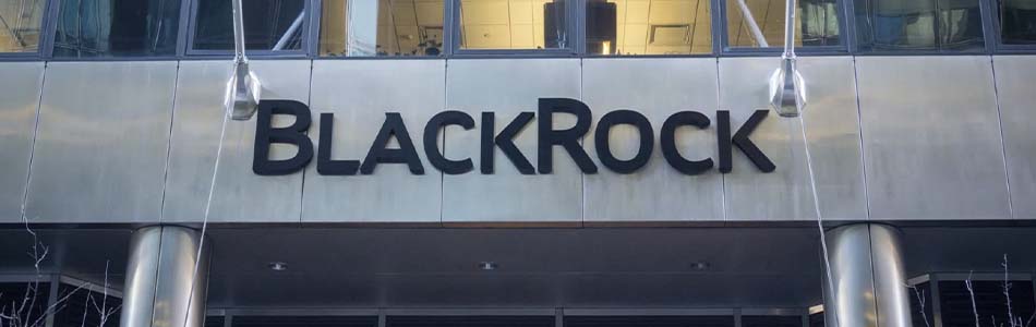 BlackRock Dominates Bitcoin Market, Outpacing Major Exchanges. How Can This Affect the Price of BTC?