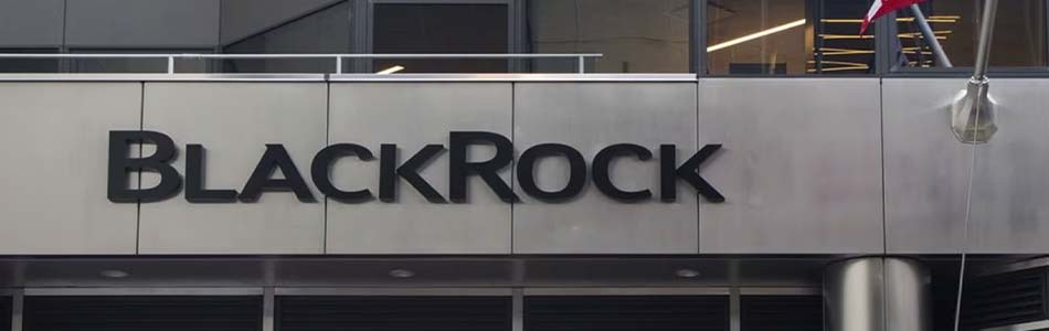 BlackRock Bitcoin ETF Leads Inflows Amidst Market Volatility
