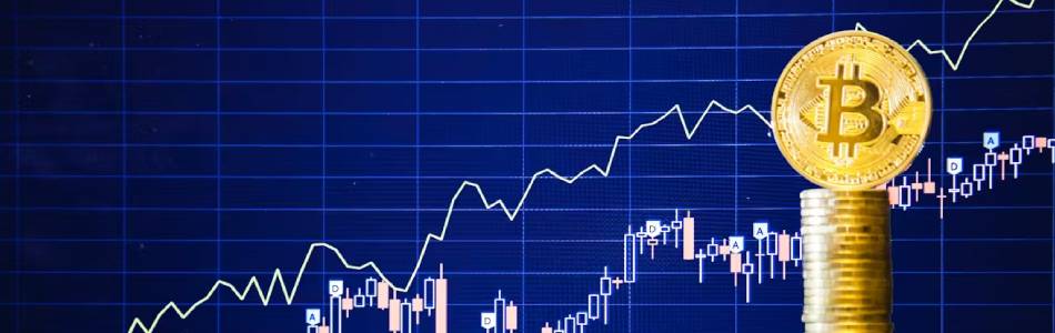 Bitcoin ETFs Surge: Positive Inflows and New Opportunities in the Market