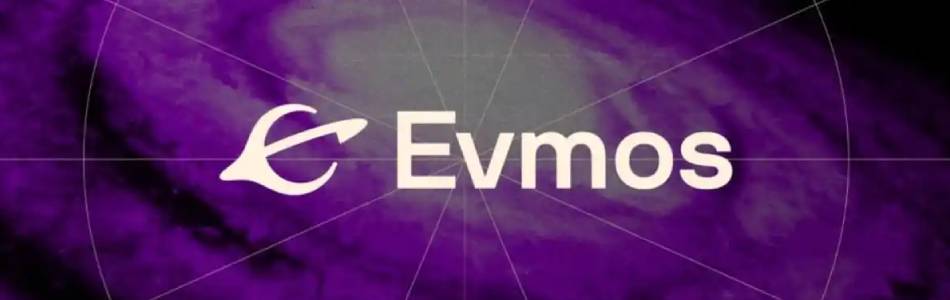 Unveiling Vulnerabilities: A $150,000 Discovery in the Evmos Blockchain