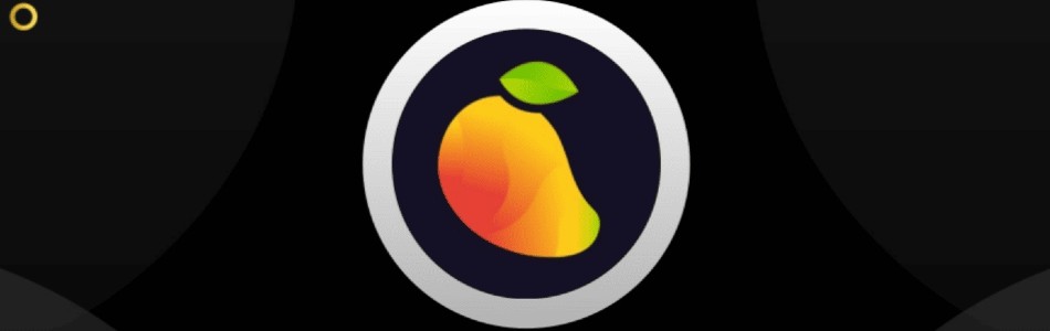 Mango markets hack