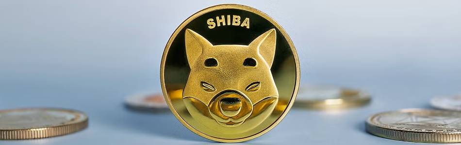 1.3 Trillion Shiba Inu Tokens Pulled: Is a Massive Price Rally Ahead?