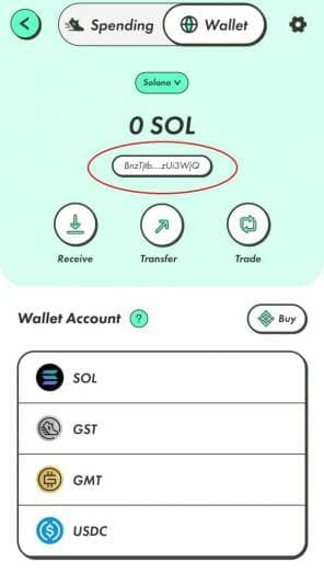 Send SOLs to your wallet.