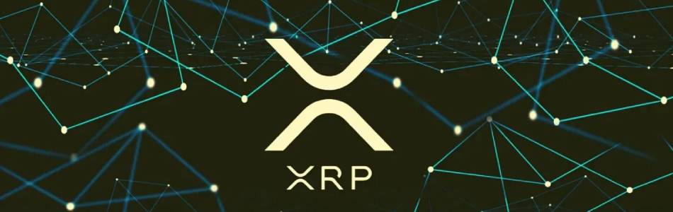 XRP Whales Increase Exchange Withdrawals Amid Price Surge